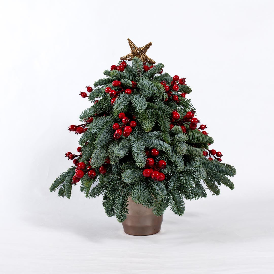 fake pot plant christmas tree Christmas Tree in Clay Pot with Real Fir and Fake Mistletoe – fitorioathina