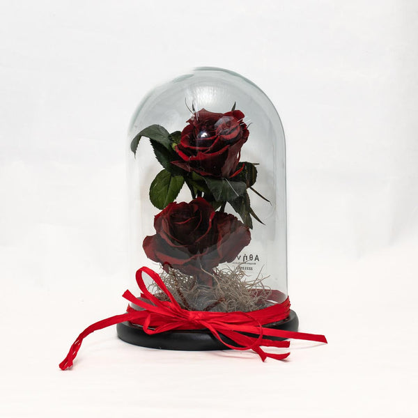 Forever Roses with 2 Red – fitorioathina
